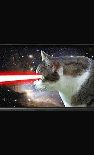Laser Cat 3