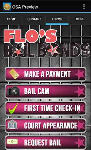 Flo's Bail Bonds 3