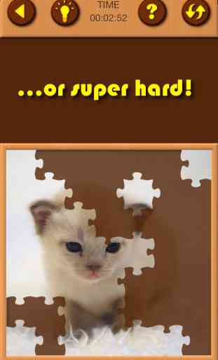 Cat Kitten Kitty Pet Baby Animal JIgsaw Puzzle Games for Girls who love educational memory learning puzzles for kids and toddlers 4