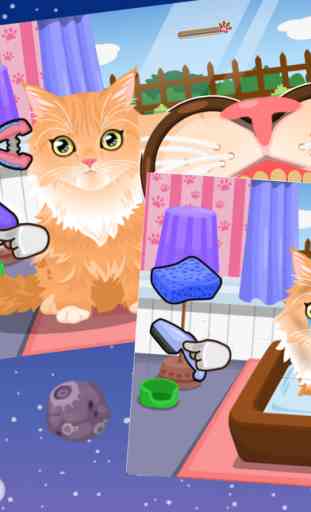 Cat Care Salon:princess party,Campus Life 2