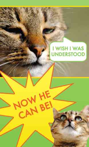 Cat Communicator - Meow Sounds Translator 3