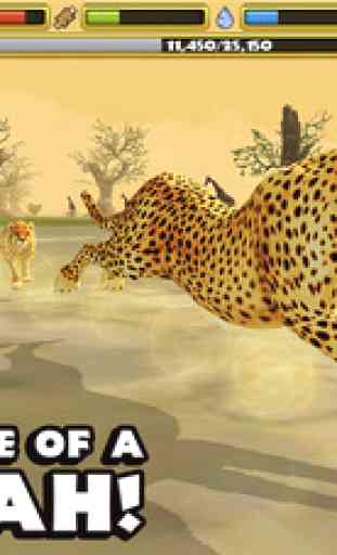 Cheetah Simulator 1