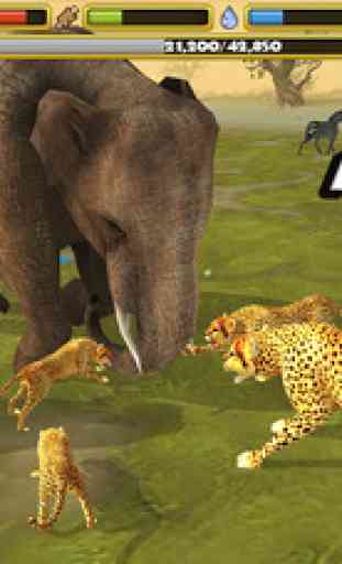 Cheetah Simulator 2