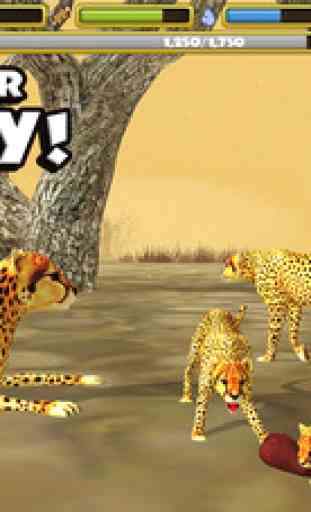 Cheetah Simulator 4