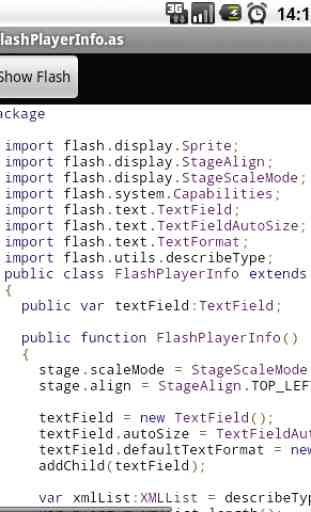Flash on WebView 1