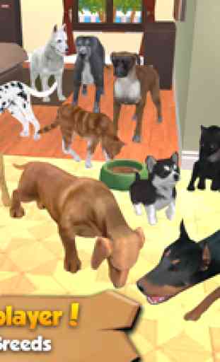 Cat & Dog Online: Multiplayer Kitten & Puppy Sim 1