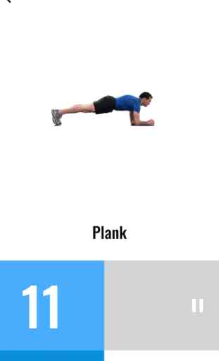 The 30 Day Plank Challenge 3