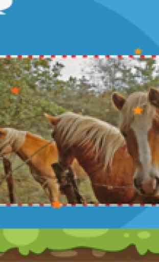 A Horse Puzzle with Haflinger Ponies - Free Learning Game-Fun for Horse Lovers 1
