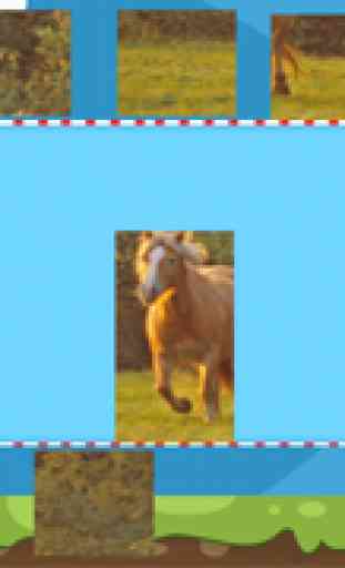 A Horse Puzzle with Haflinger Ponies - Free Learning Game-Fun for Horse Lovers 4