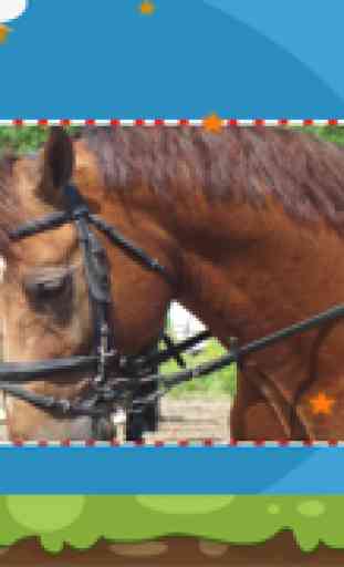A Puzzle With Horses and Ponies - Free Interactive Game For Kids Learn Logical Thinking with Fun 1