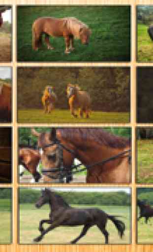 12 Animated Horse-s & Pony Puzzle-s For Kids 1