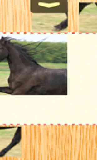 12 Animated Horse-s & Pony Puzzle-s For Kids 2