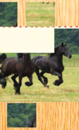 12 Animated Horse-s & Pony Puzzle-s For Kids 4