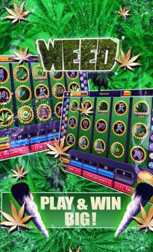Dream of Weed Slot Machines – Free Slots & Casino 1