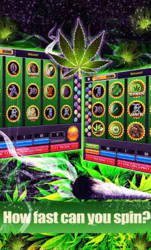 Dream of Weed Slot Machines – Free Slots & Casino 2