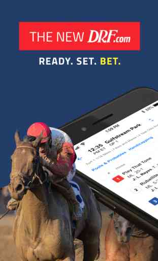 DRF - Horse Race Betting App 2