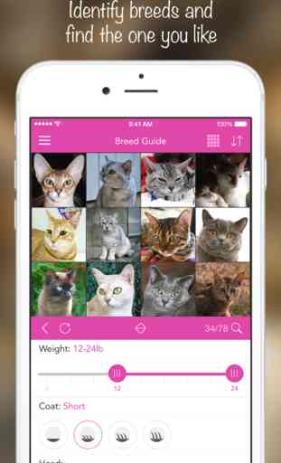 iKnow Cats 2 PRO - Cat Breed Guide 2