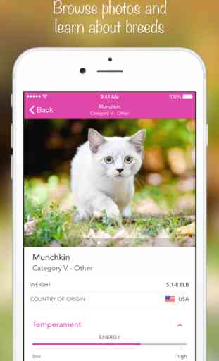 iKnow Cats 2 PRO - Cat Breed Guide 3