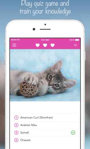iKnow Cats 2 PRO - Cat Breed Guide 4