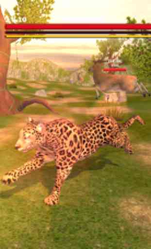Leopard Survival Life Simulator : Animal of Prey 1
