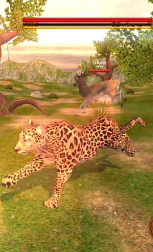 Leopard Survival Life Simulator : Animal of Prey 4
