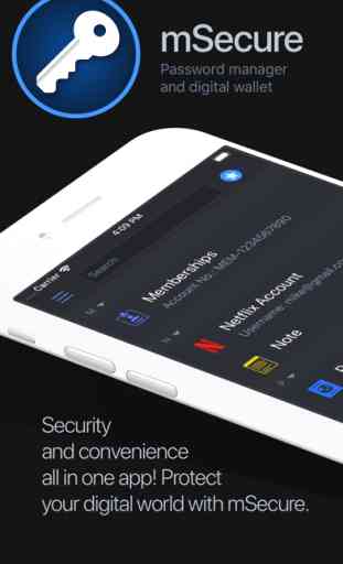 Password Manager - mSecure 1