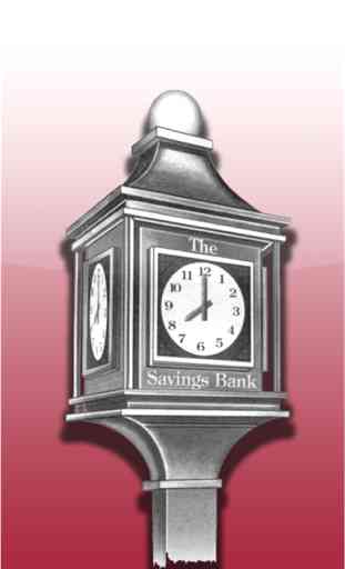 The Savings Bank 1