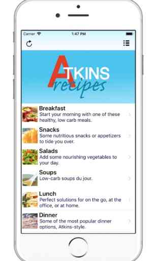 101+ Atkins Diet Recipes 1