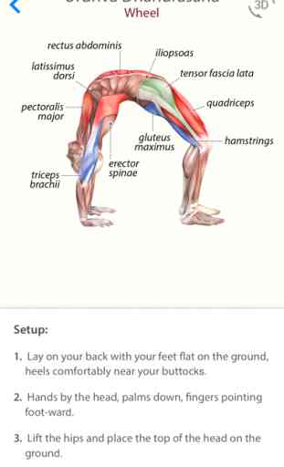 3D Yoga Anatomy 1