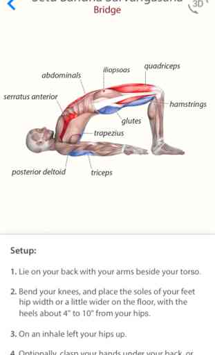 3D Yoga Anatomy 2