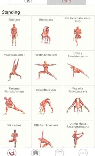 3D Yoga Anatomy 4