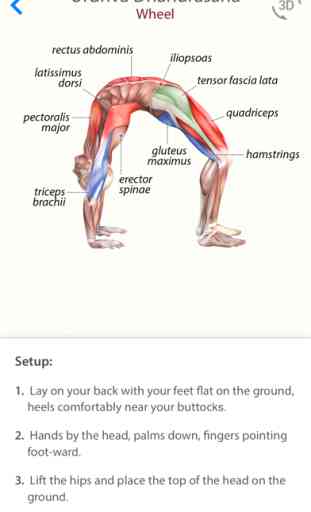 3D Yoga Anatomy Lite 1