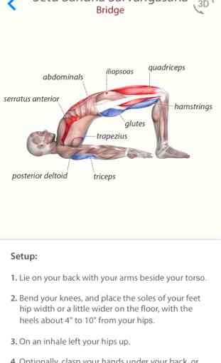 3D Yoga Anatomy Lite 2
