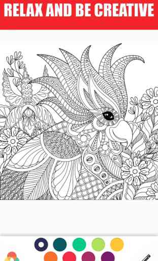 Adults Coloring Book Color Therapy for Anti-Stress 2