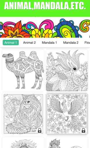 Adults Coloring Book Color Therapy for Anti-Stress 3