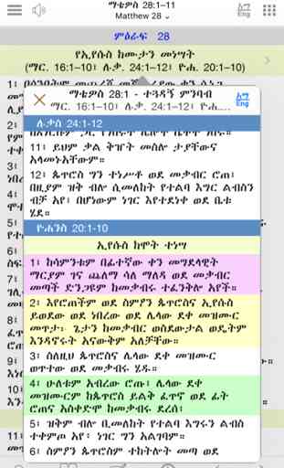 Amharic Study Bible with Audio 3