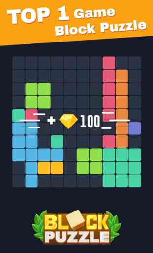 Block Puzzle 100 4