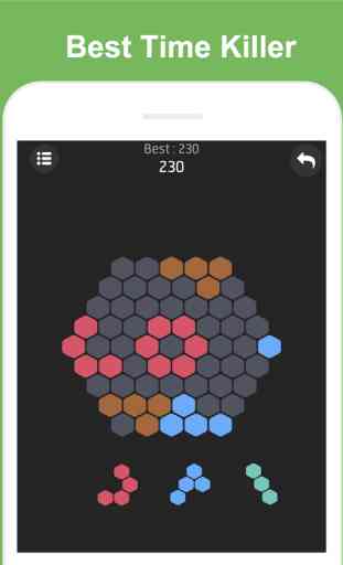 Block Puzzle: match hexa games 4