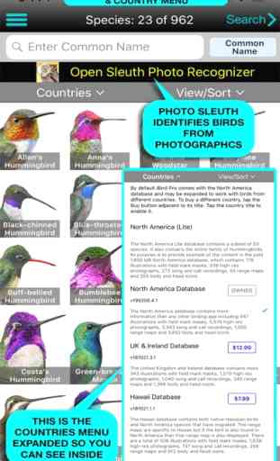 iBird Lite Guide to Birds 1