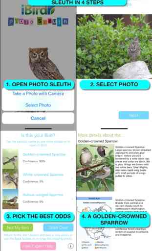 iBird Ultimate Guide to Birds 4