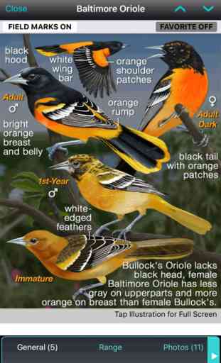 iBird Yard+ Guide to Birds 2