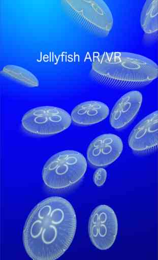 Jellyfish AR/VR 1