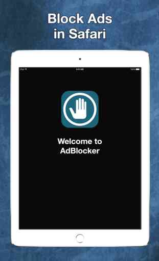 Ad Blocker - Block Ads and Tracking in Safari 4
