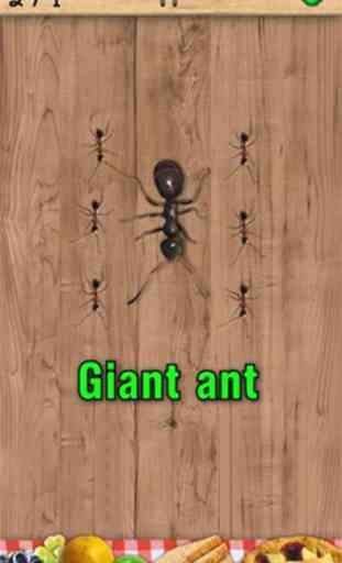 Ant Smasher 3