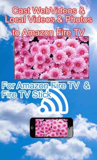 Cast All Video & TV for Fire TV 1