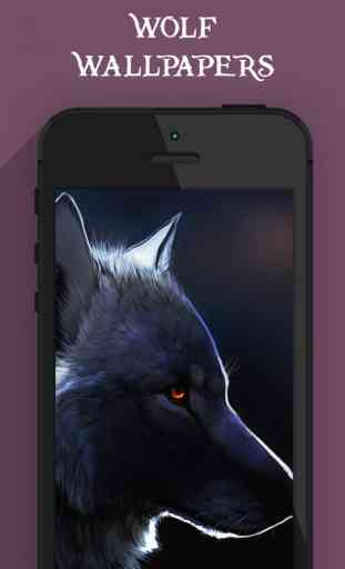 Cool Wolf Wallpapers HD 2