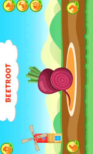 Learn about Vegetables 3