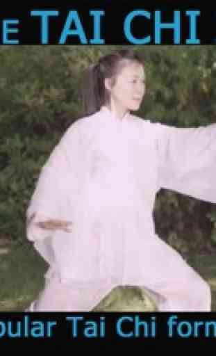 Tai Chi for Beginners 24 Form 2