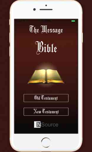 The Message Bible (MSG) 1