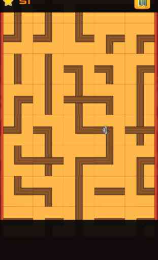 The Mouse Maze Challenge 4